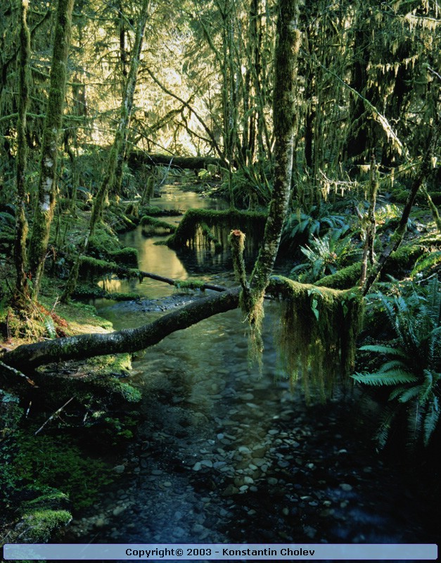 Nature Pic  31