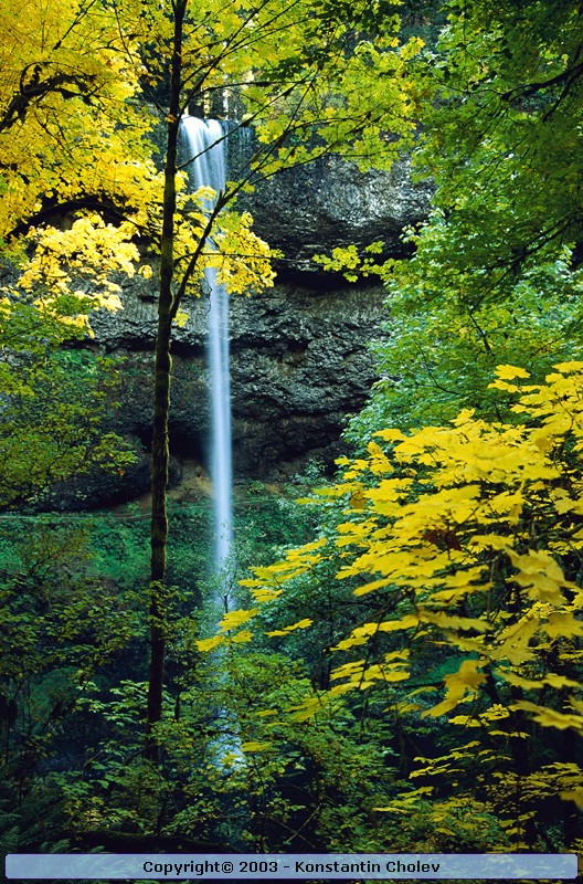 Nature Pic  34