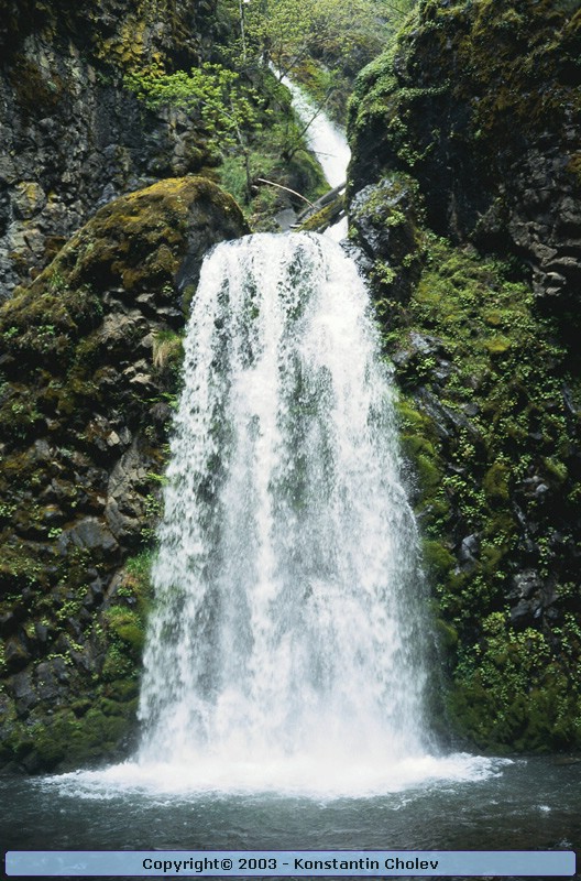 Nature Pic  35