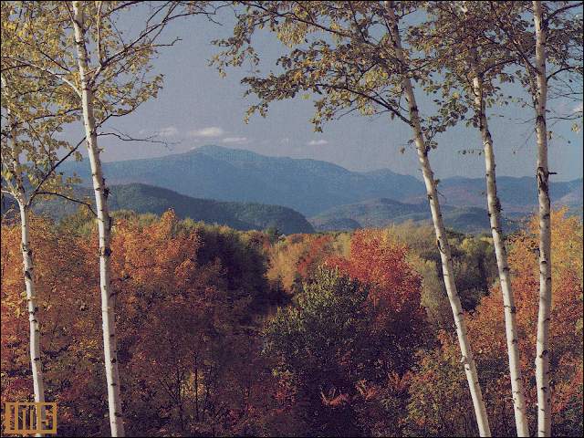 Nature Pic  359