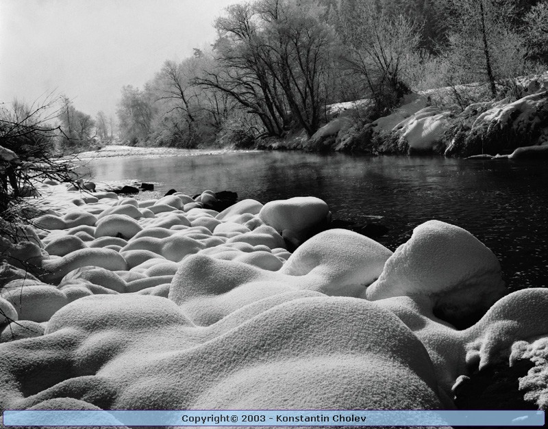 Nature Pic  36