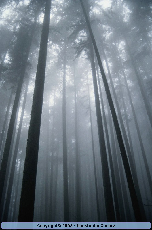 Nature Pic  37