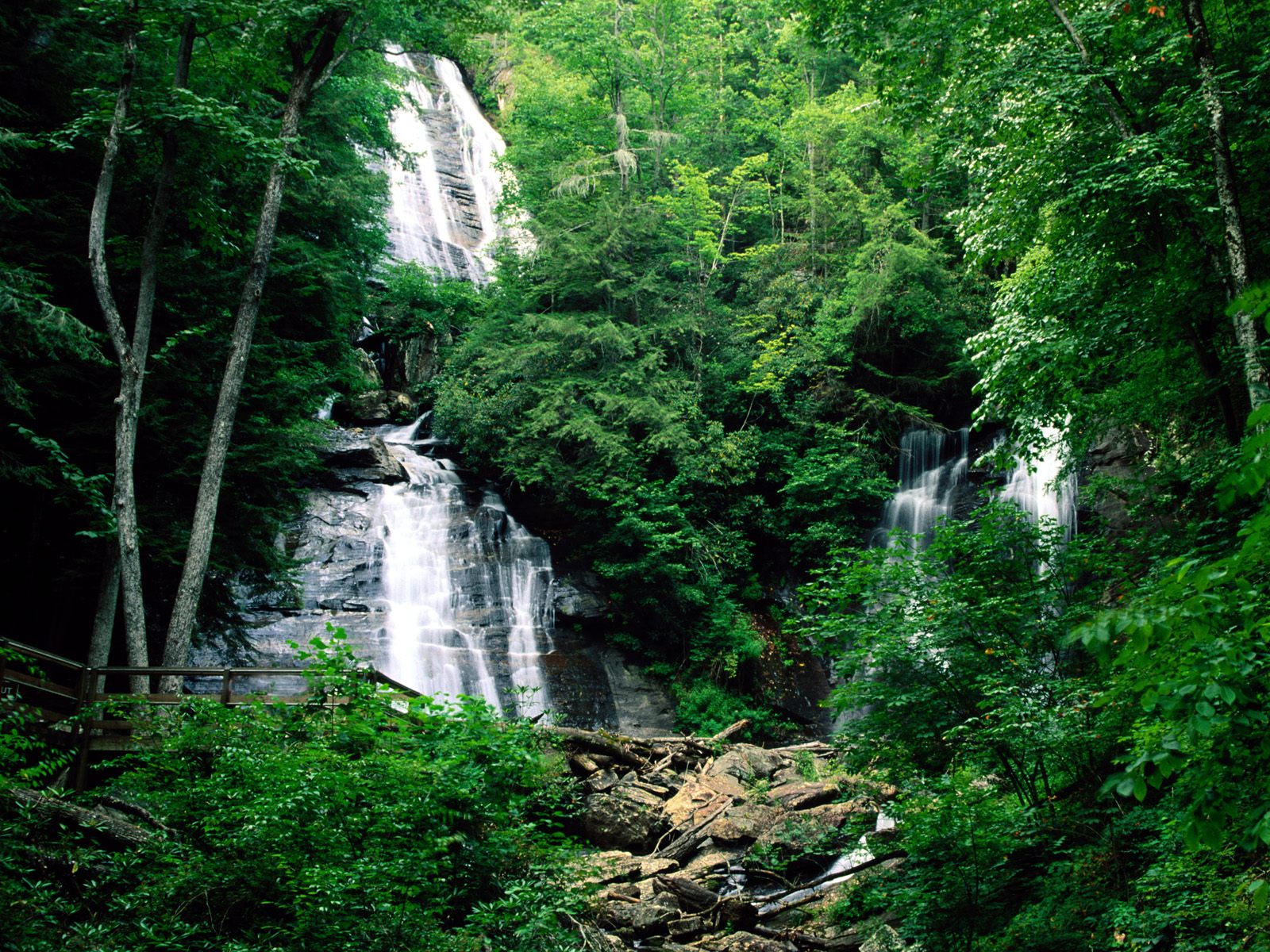 Nature Pic  377
