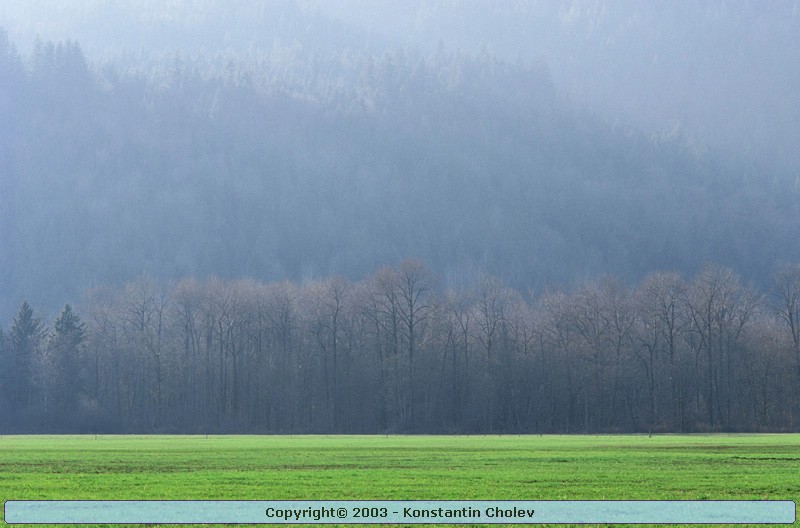Nature Pic  39