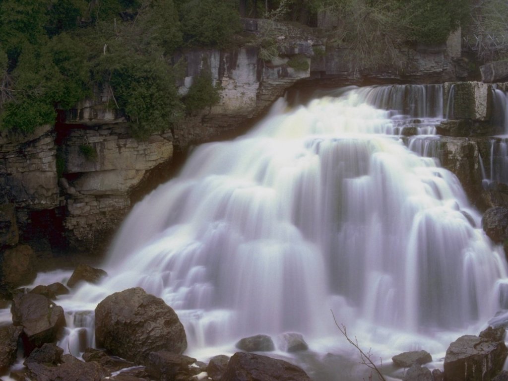 Nature Pic  4