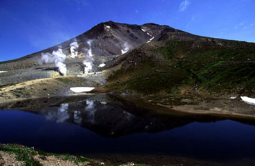 Nature Pic  410