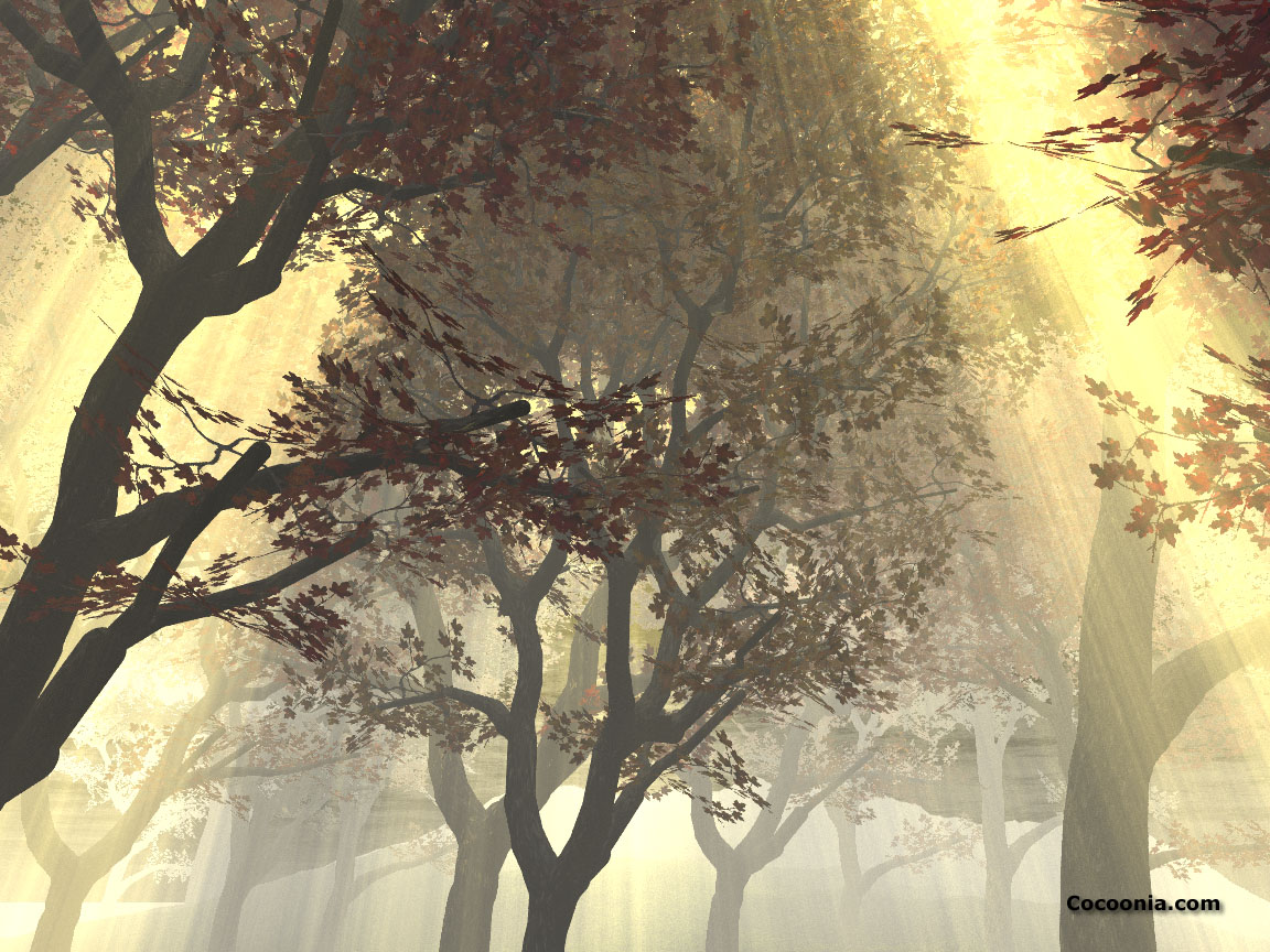 Nature Pic  458