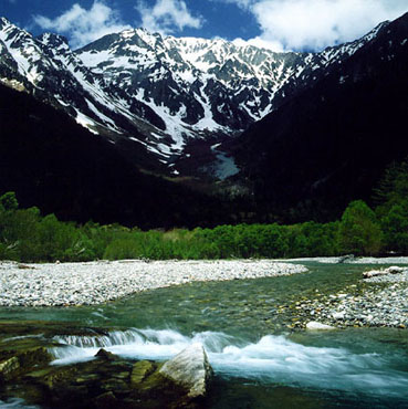 Nature Pic  475