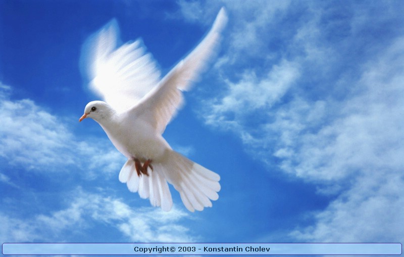Nature Pic  482