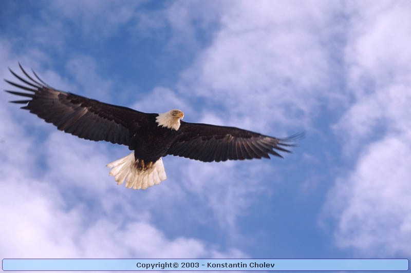 Nature Pic  488