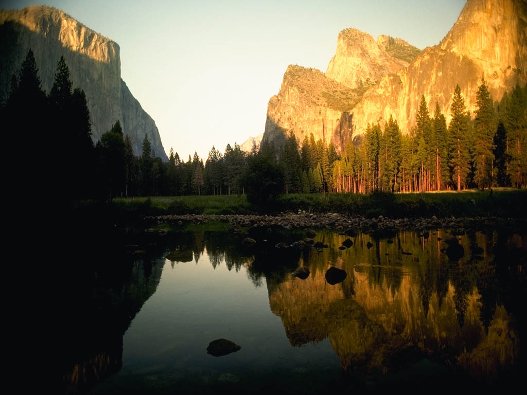 Nature Pic  5