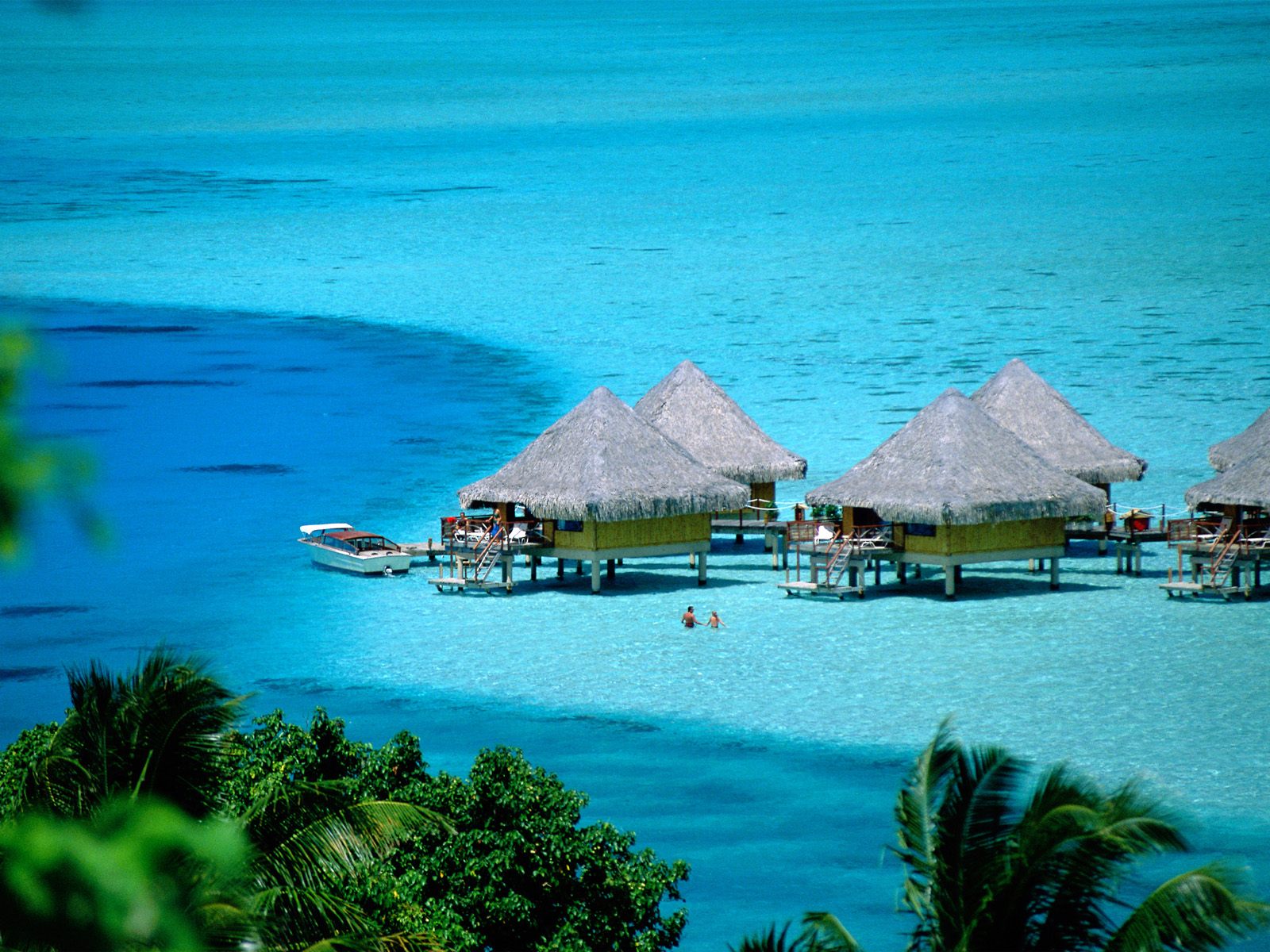 Nature Pic  501