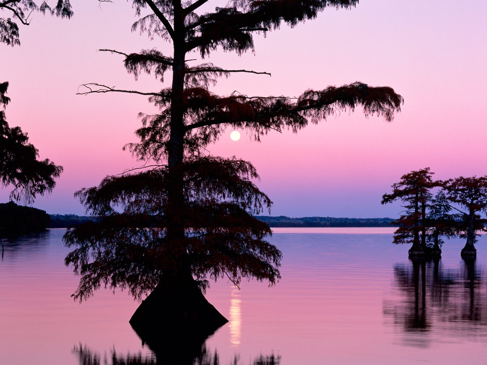 Nature Pic  506