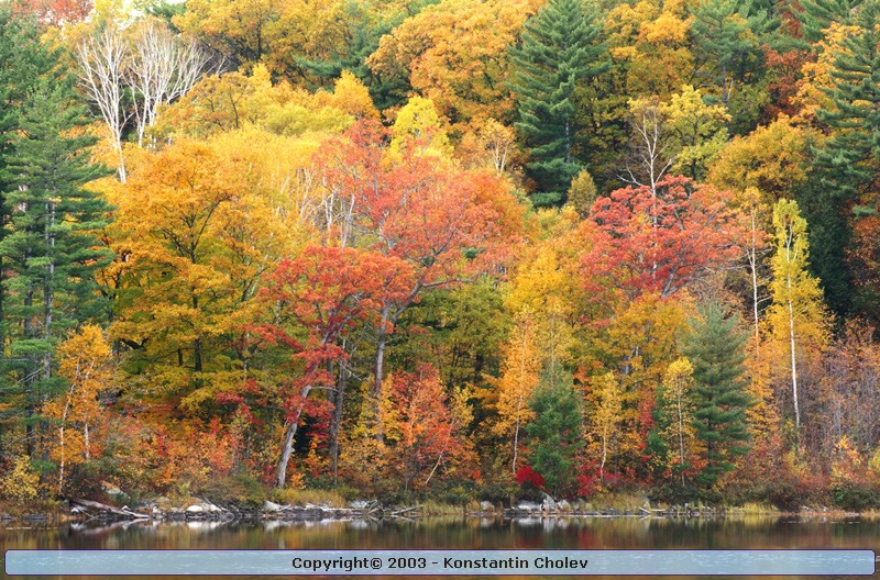 Nature Pic  51