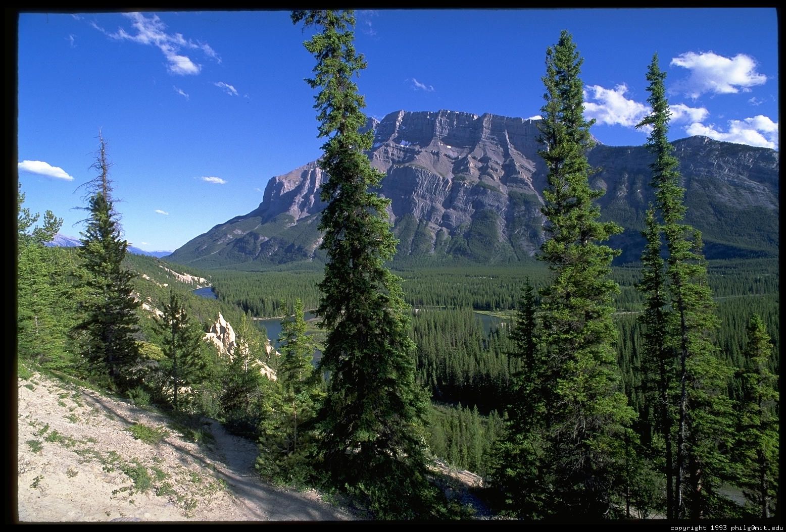 Nature Pic  513