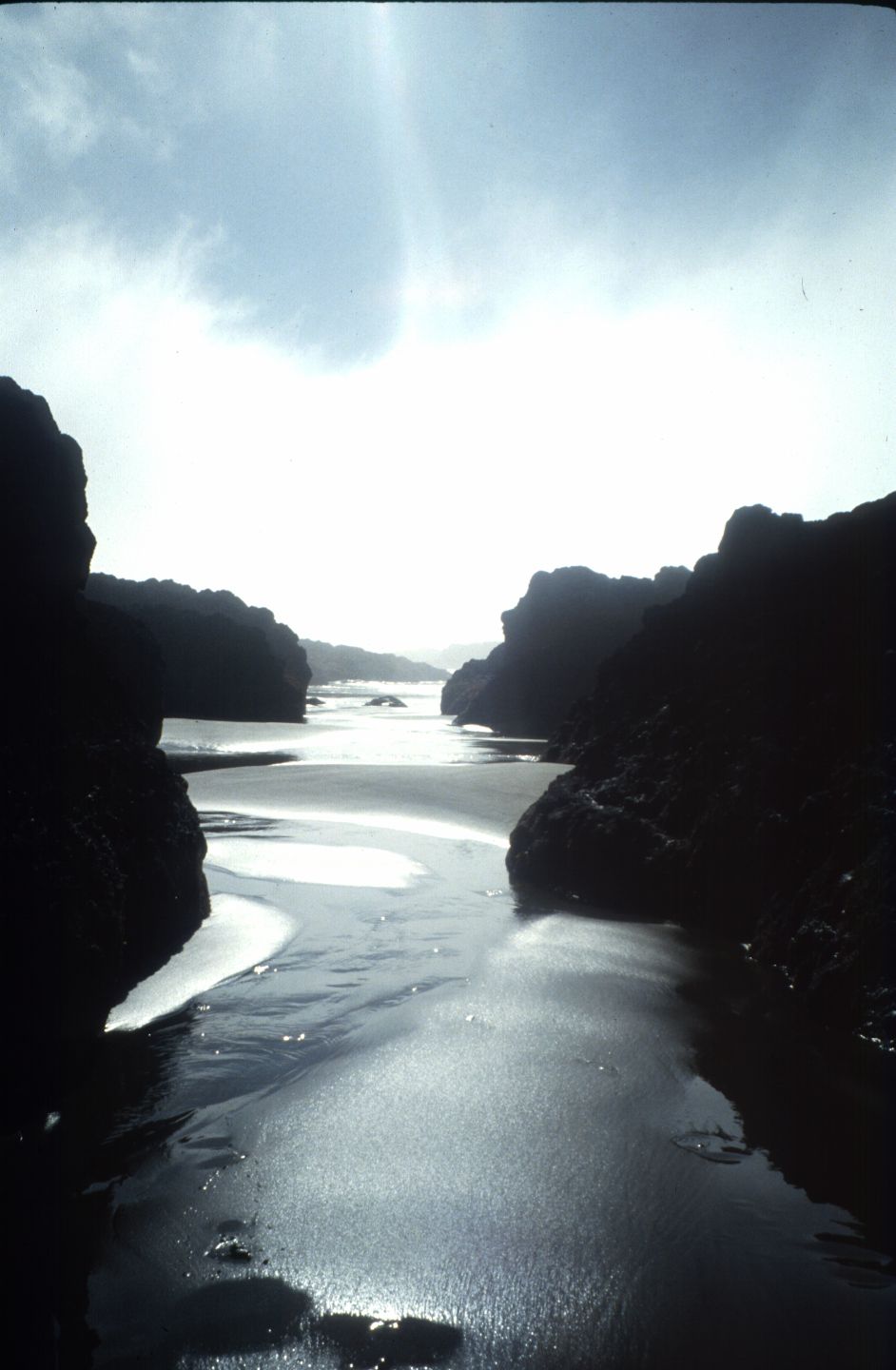 Nature Pic  525