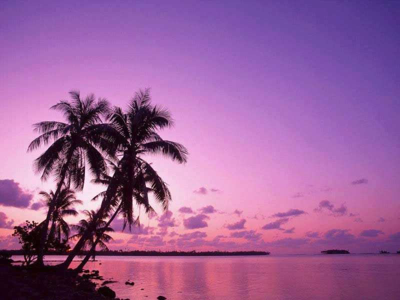 Nature Pic  526