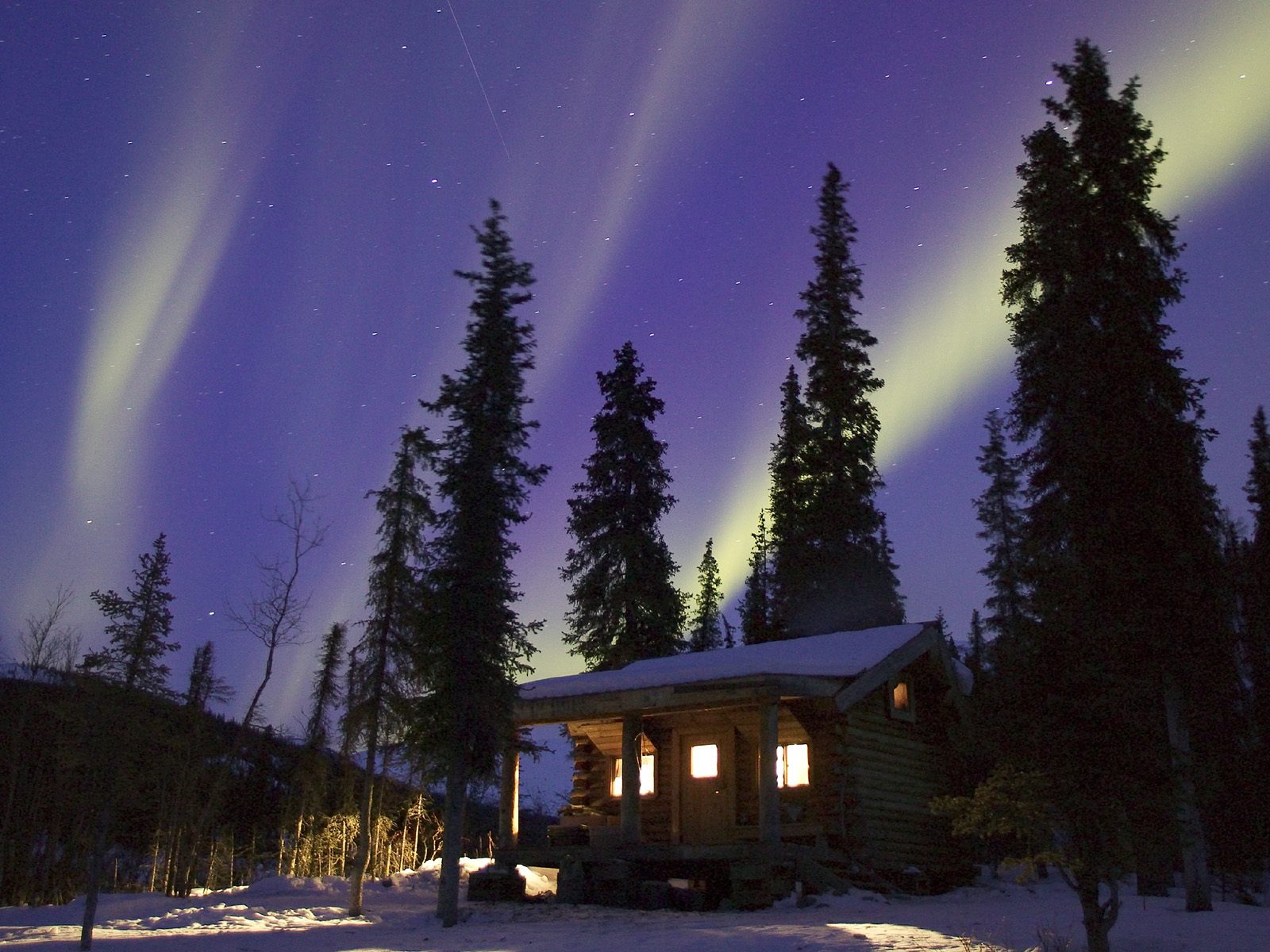 Nature Pic  551