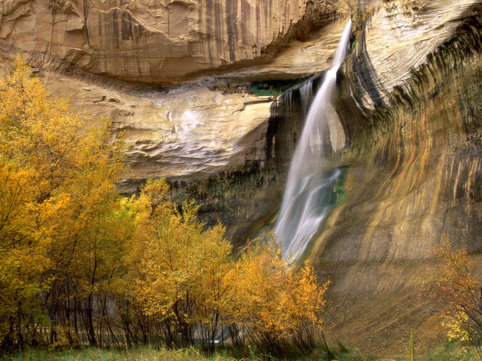 Nature Pic  553
