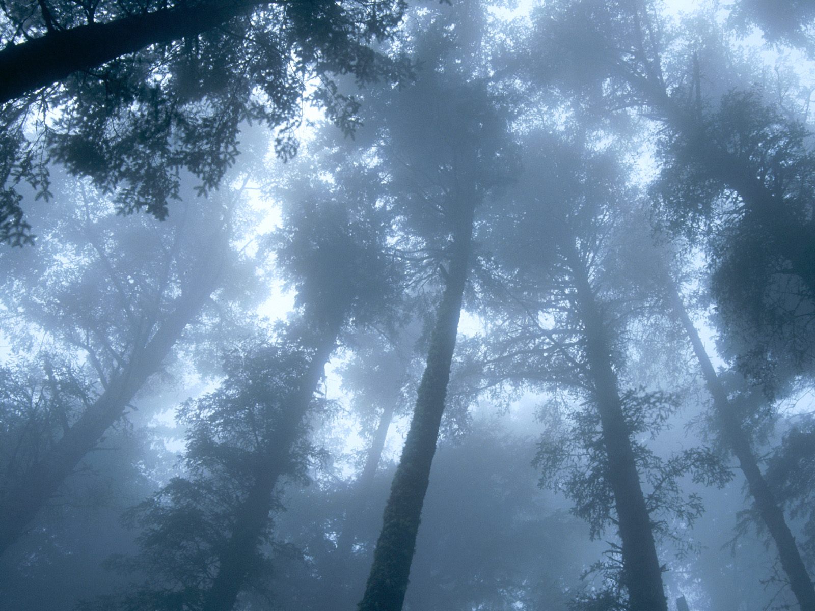 Nature Pic  557