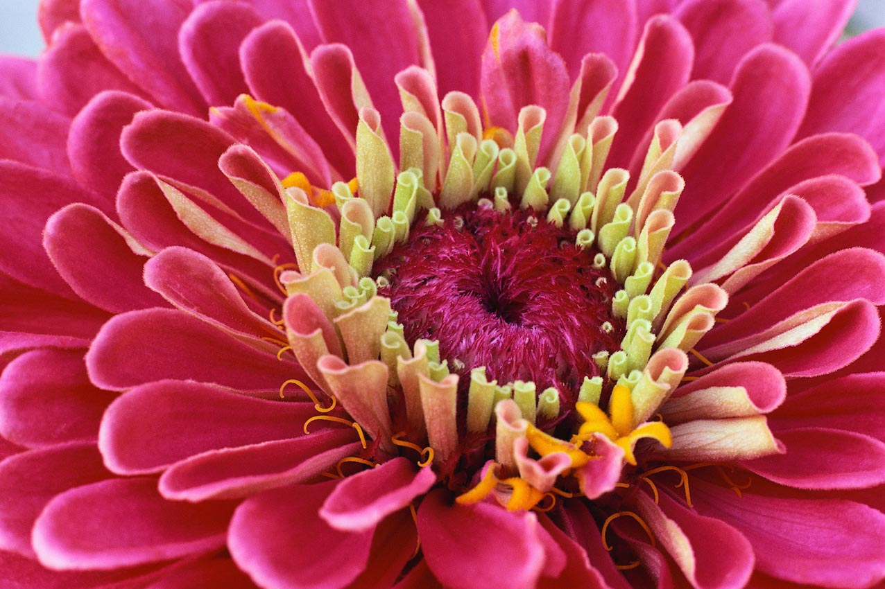 Nature Pic  572