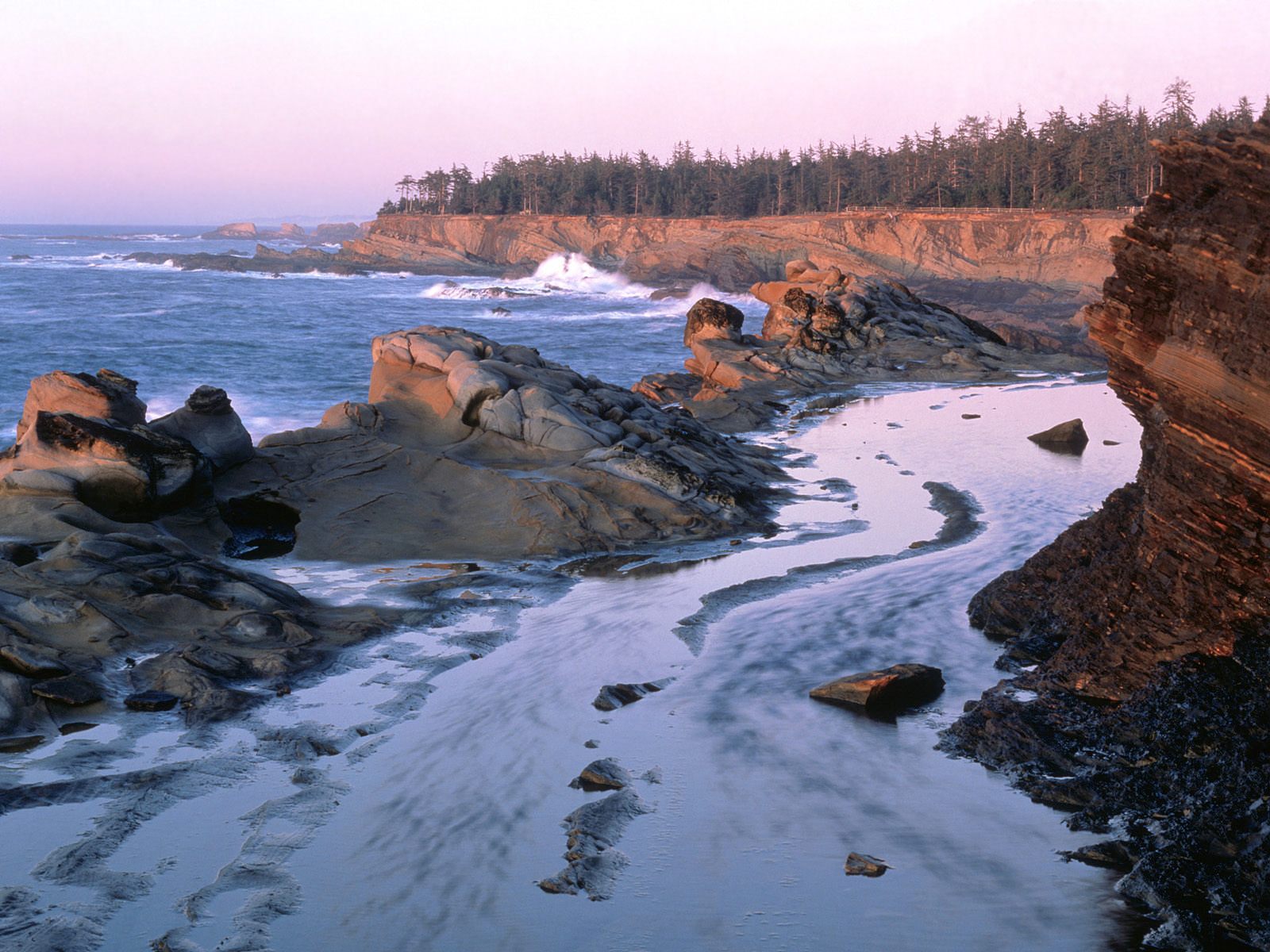 Nature Pic  633