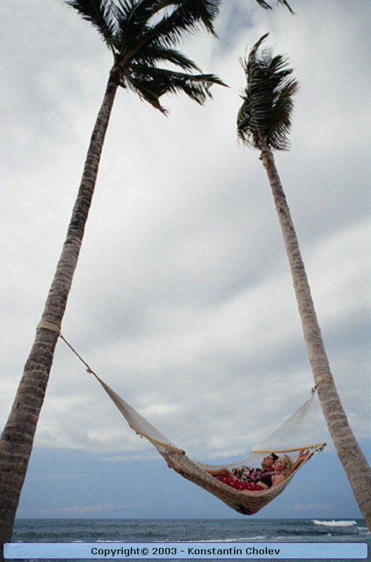 Nature Pic  65
