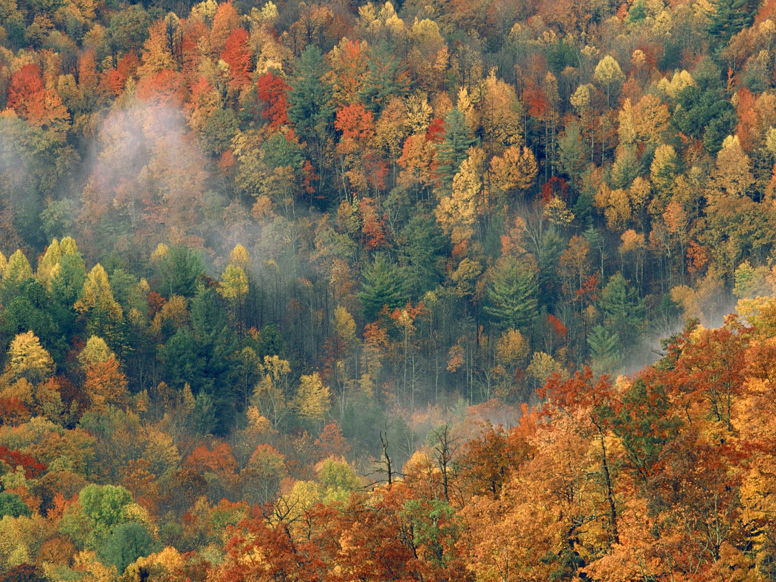 Nature Pic  662