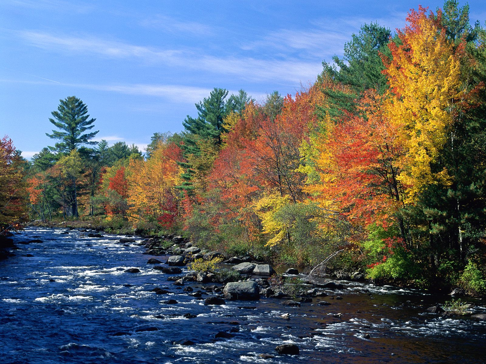 Nature Pic  665