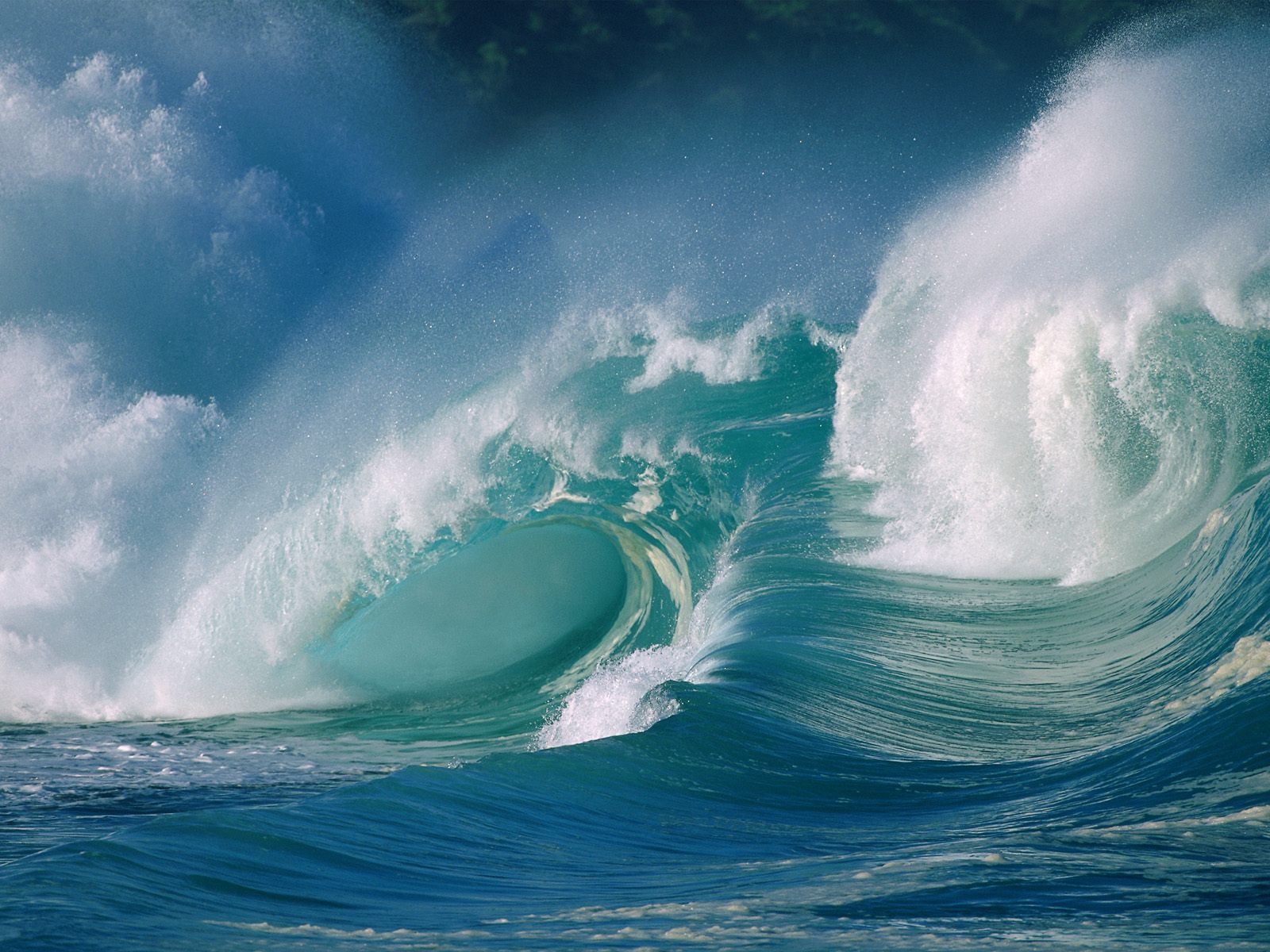 Nature Pic  683
