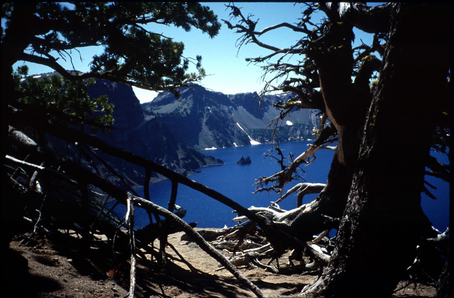 Nature Pic  686