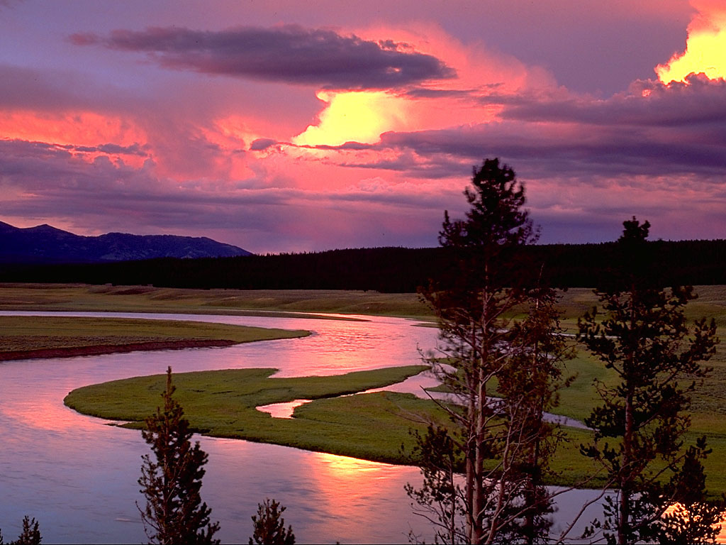 Nature Pic  694