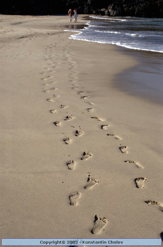 Nature Pic  72
