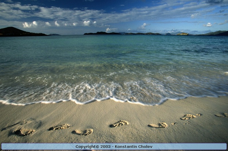 Nature Pic  75