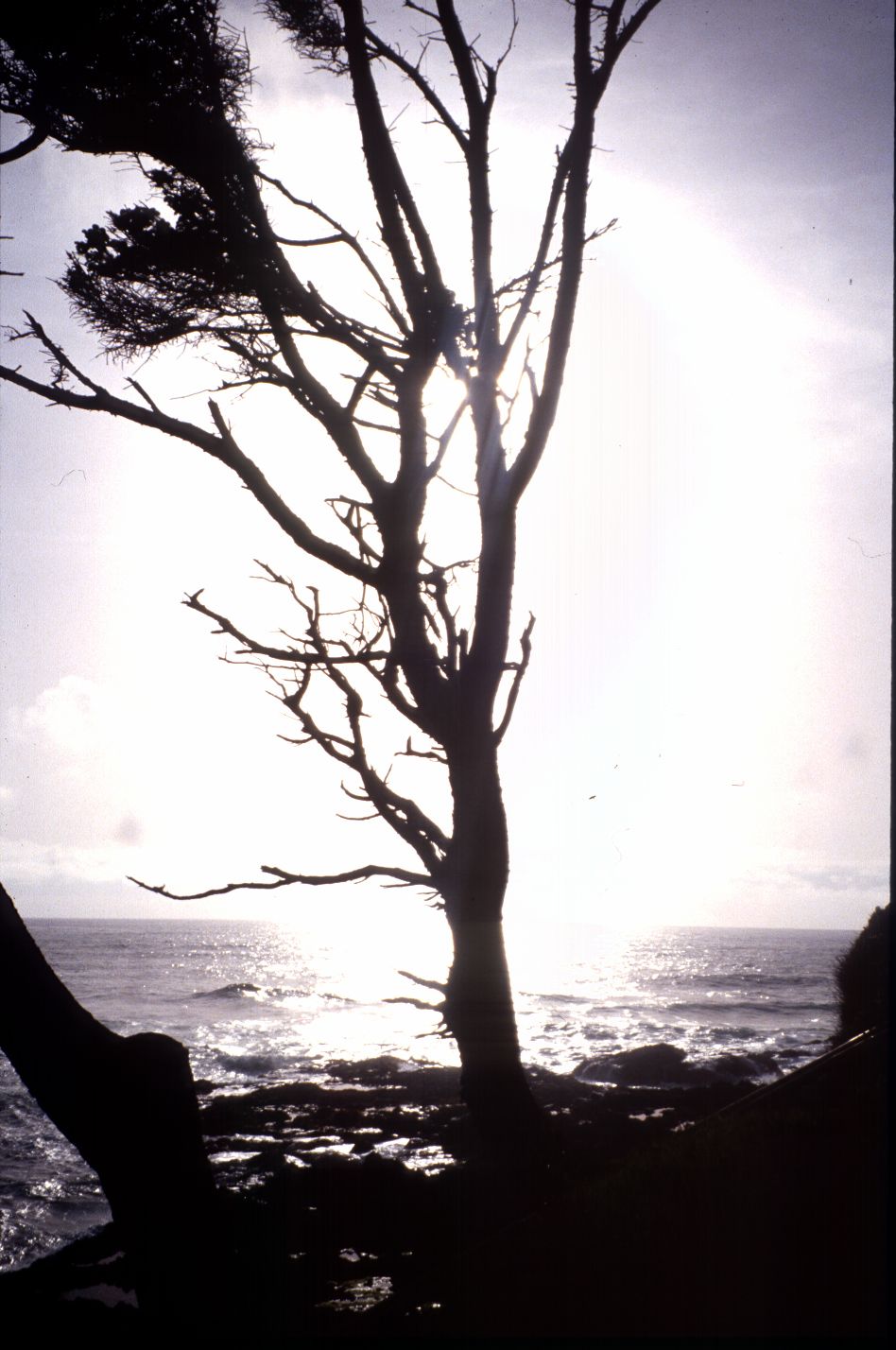 Nature Pic  757
