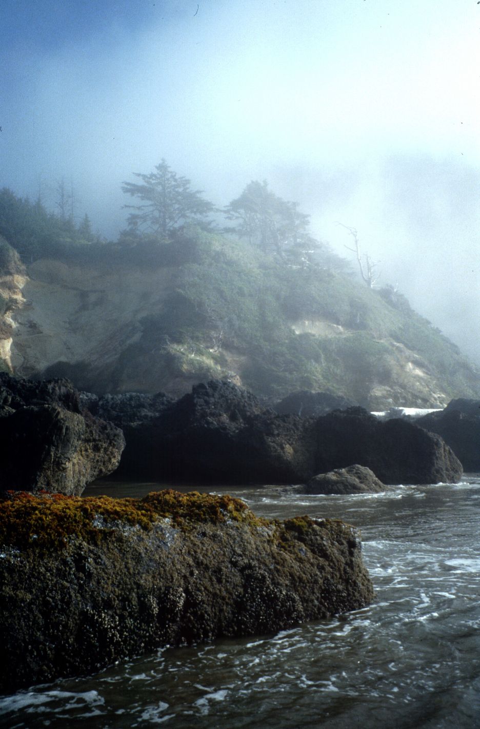 Nature Pic  758