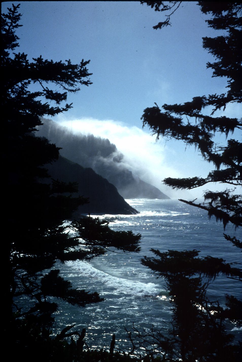 Nature Pic  760