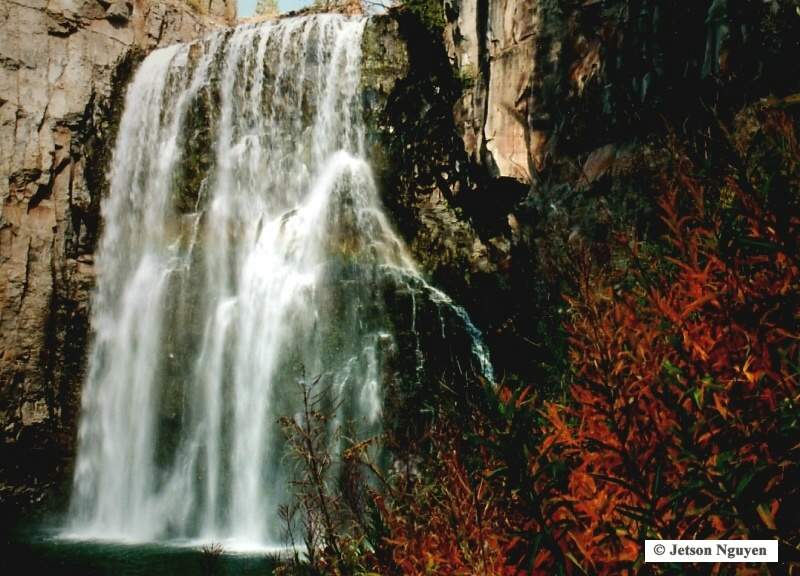 Nature Pic  765