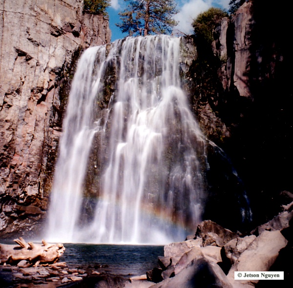 Nature Pic  766