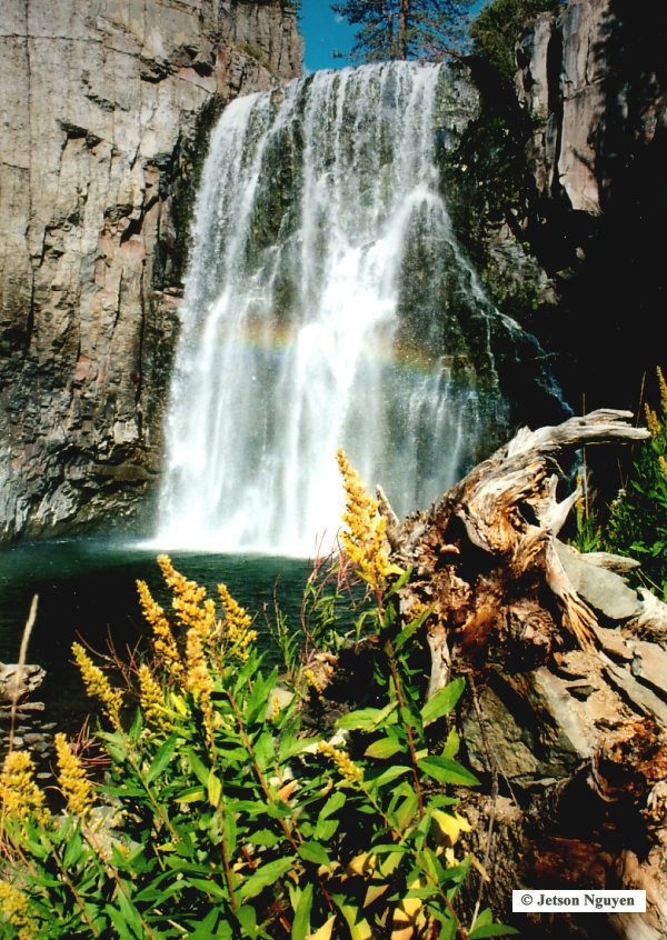 Nature Pic  767