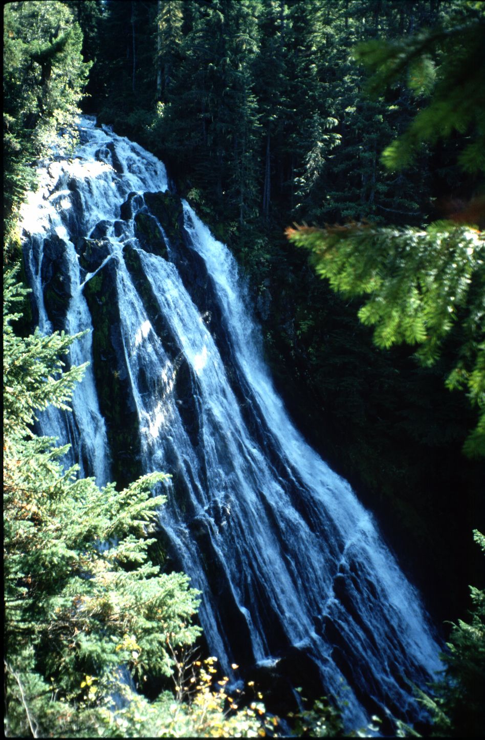Nature Pic  769