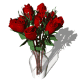 Nature Pic  794