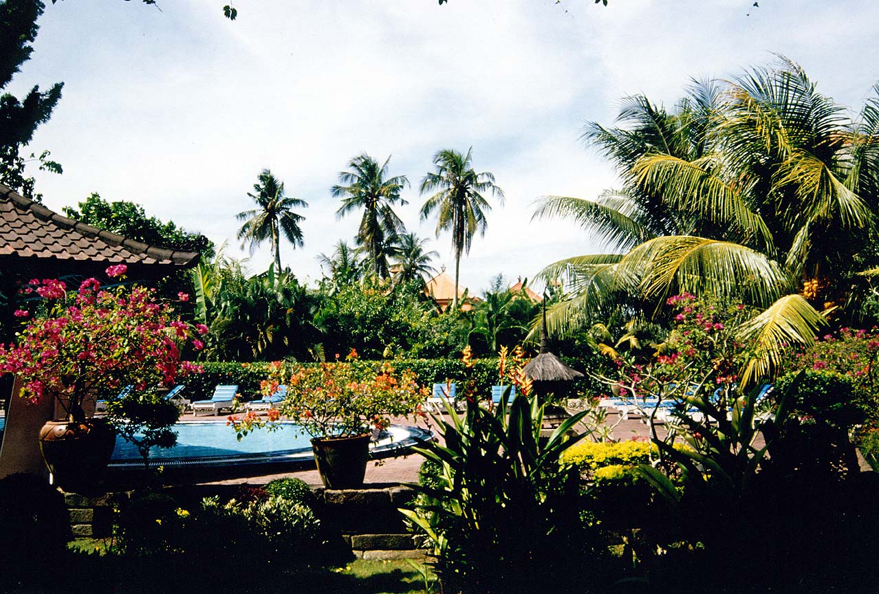 Nature Pic  807