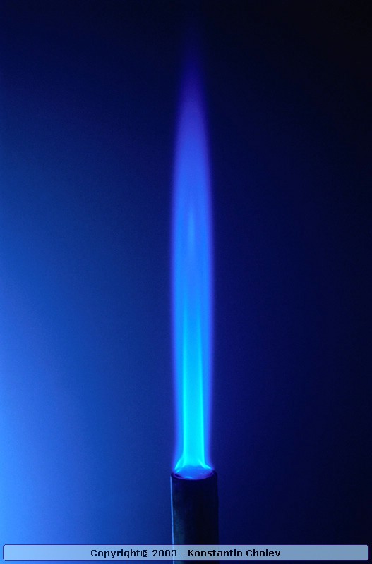 Nature Pic  81