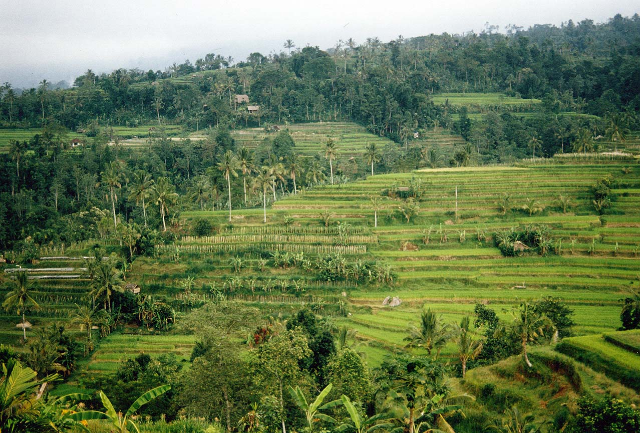 Nature Pic  810