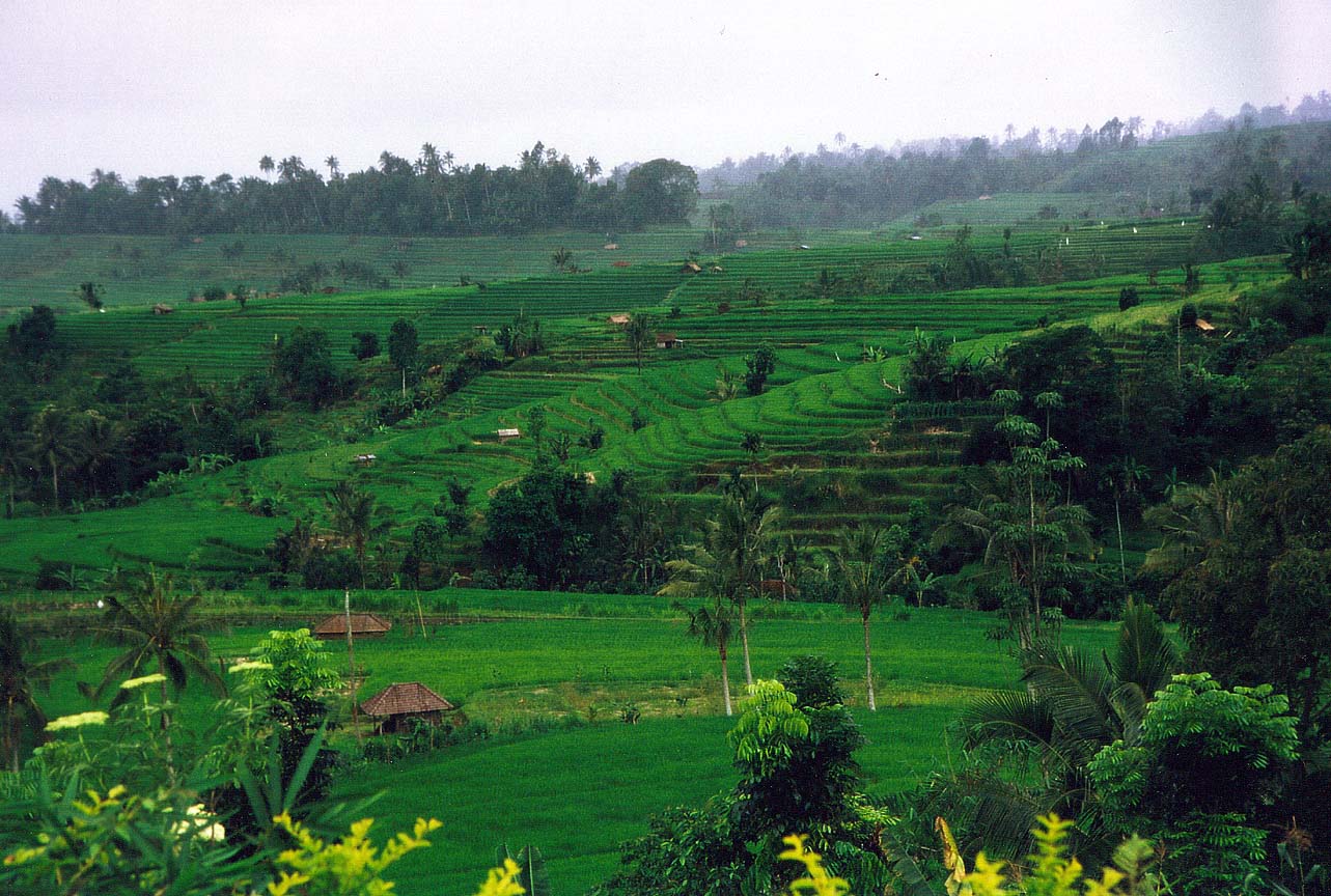 Nature Pic  811