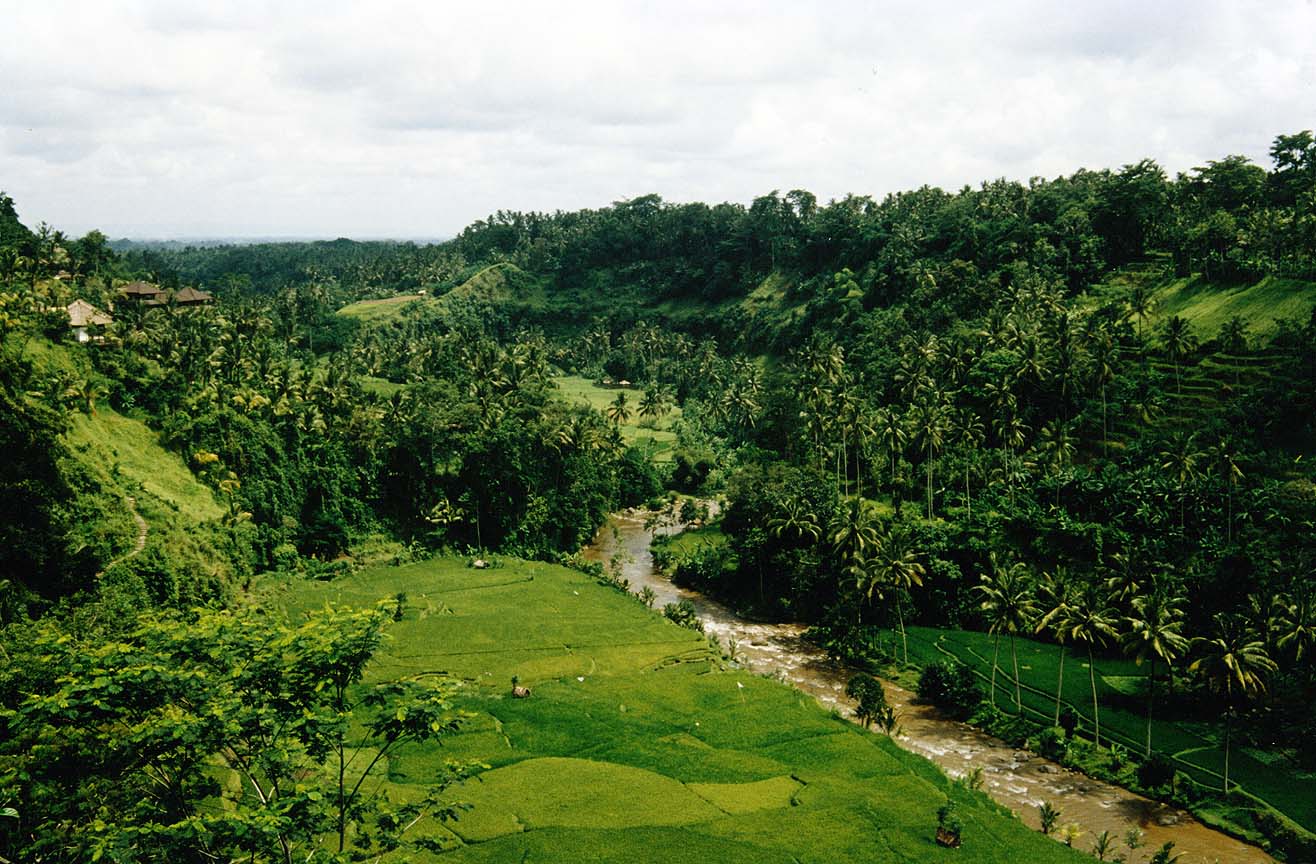 Nature Pic  813
