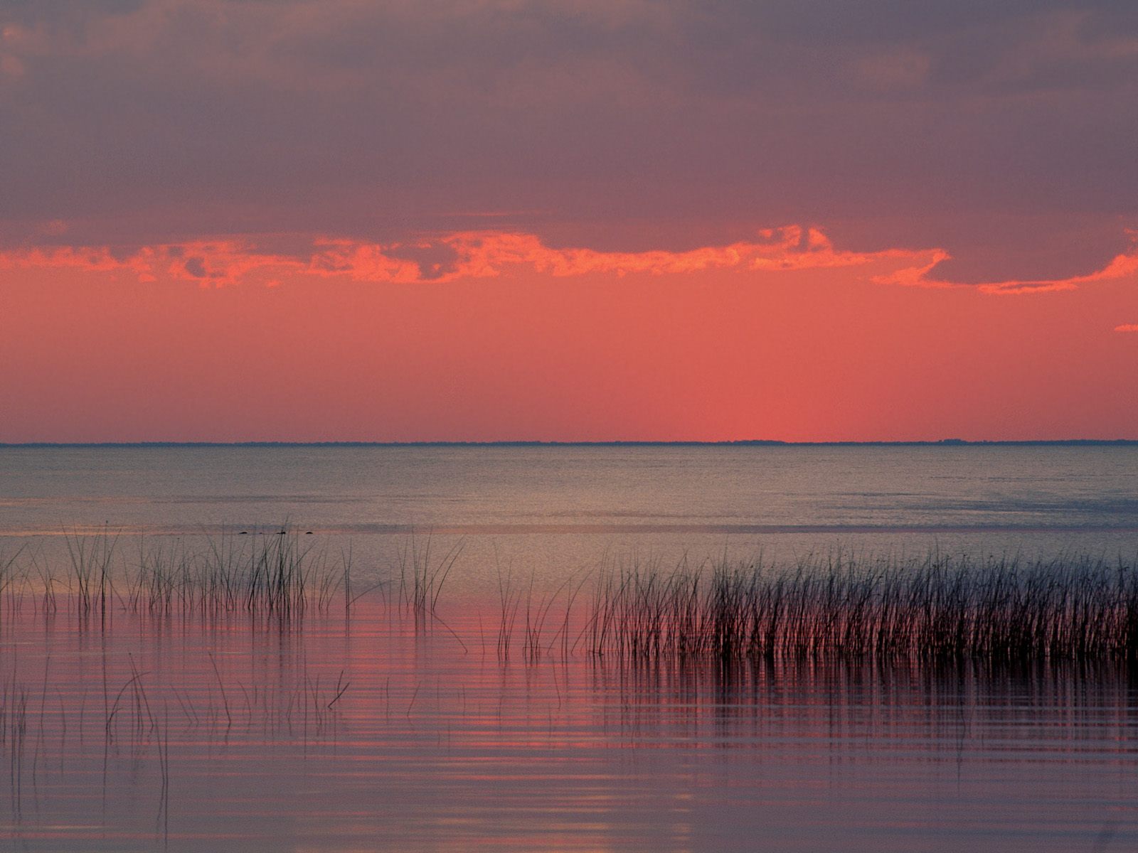 Nature Pic  816