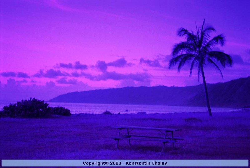 Nature Pic  822