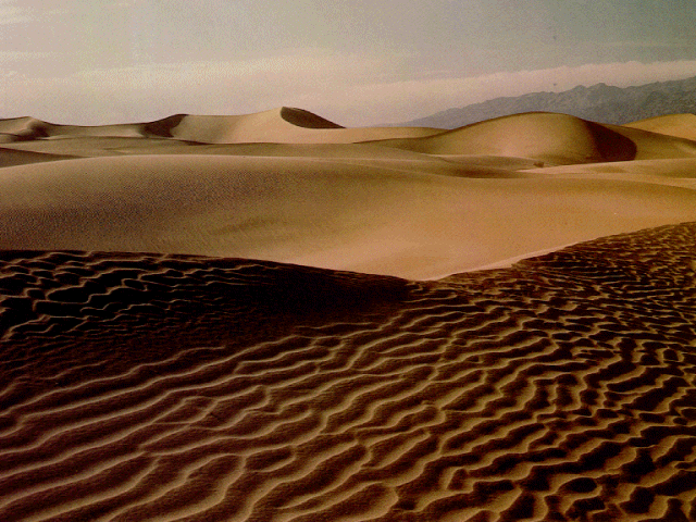 Nature Pic  833